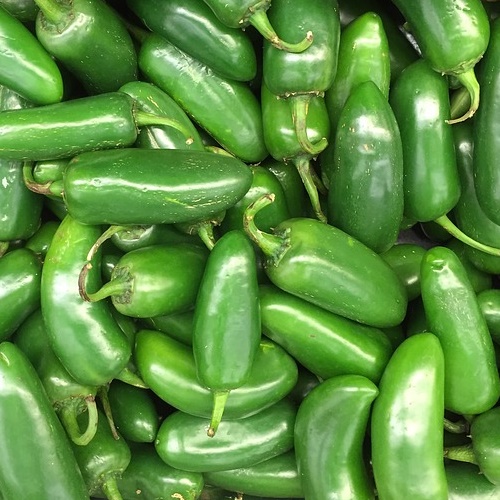 Jalapeno friss chili paprika